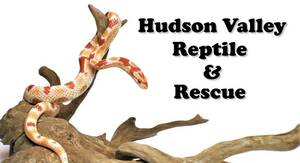 HV Reptile Rescue