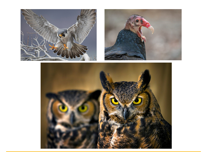 West Hurley Public Library