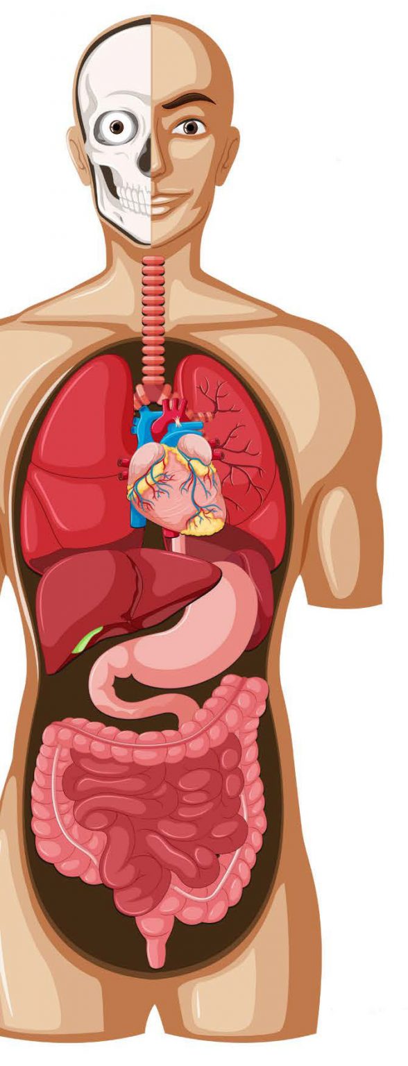 West Hurley Public Library